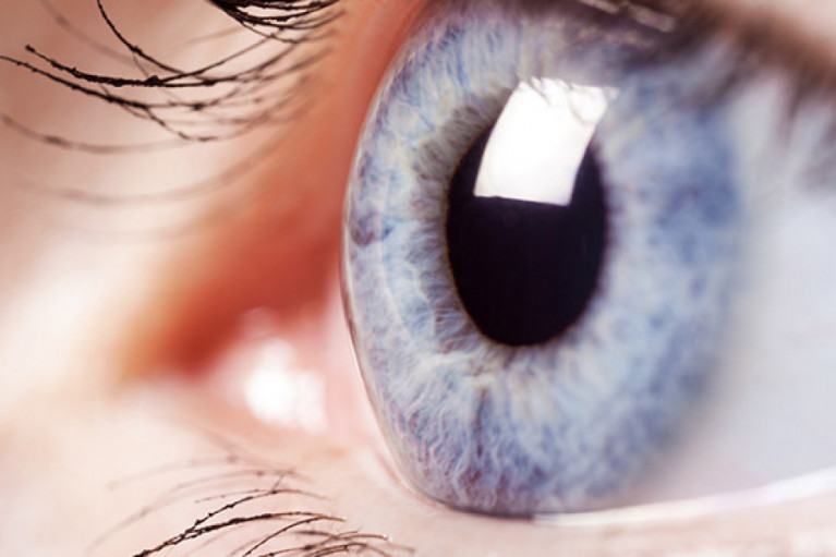 Zeaxanthin and Lutein: The Eye Health Supplements You Need to Know About