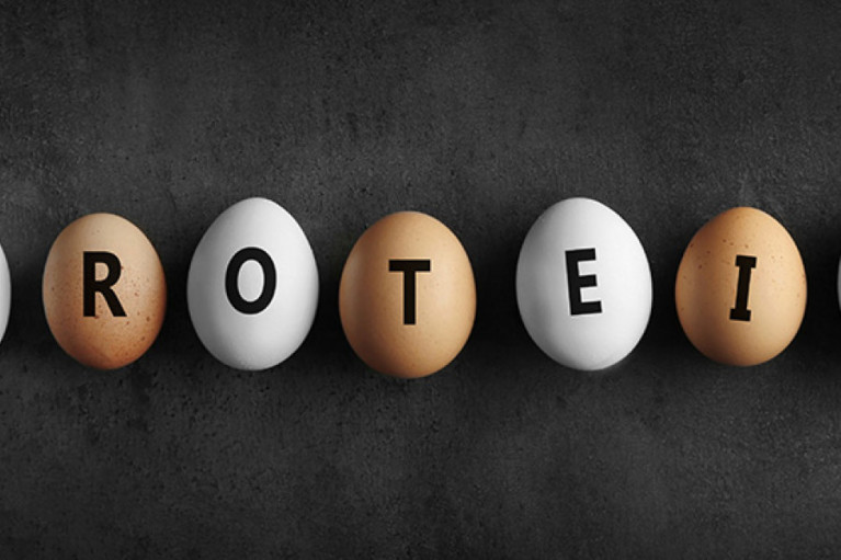 The “Egg-nored” Protein Powder