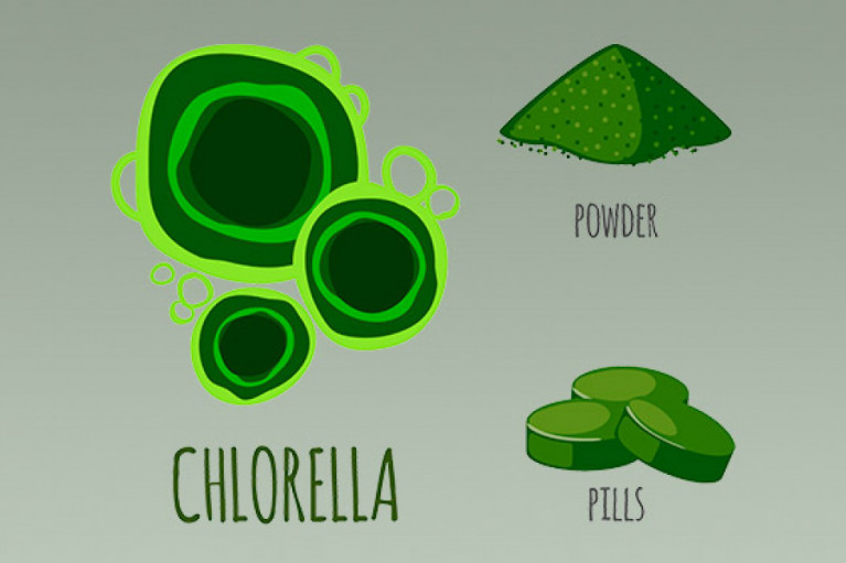 The Little Green Algae That Could