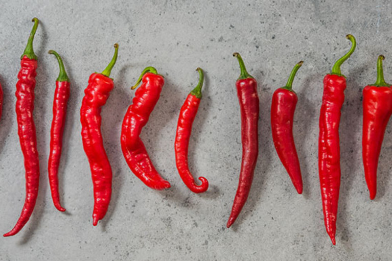 The Spice of Life: Cayenne Pepper