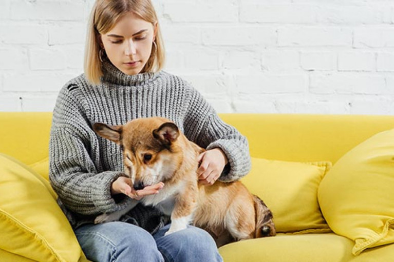 Clean Label Pet Supplements and Why Makers Nutrition is Your Choice Pet Supplement Manufacturer