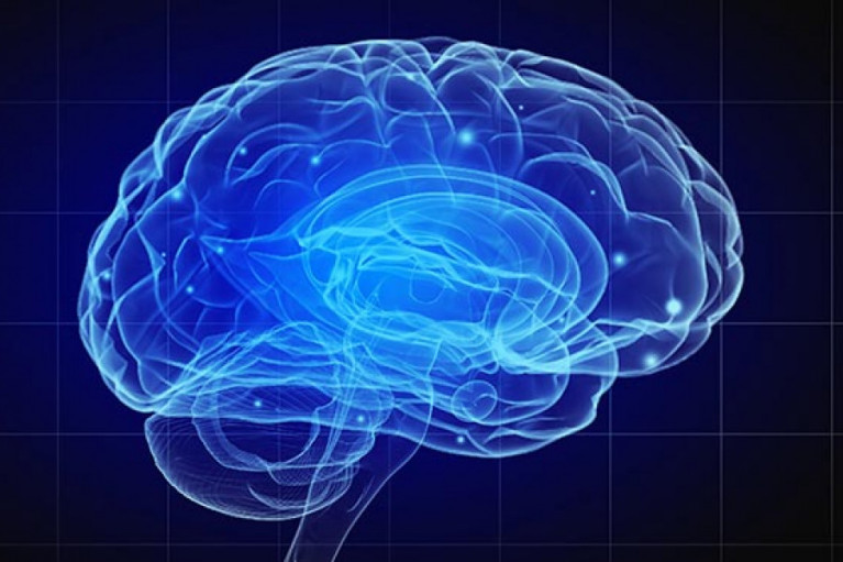 Supplement Benefits: Phosphatidylserine Mood and Mentality