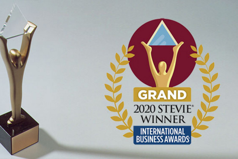 Grand Stevie Award in American Business