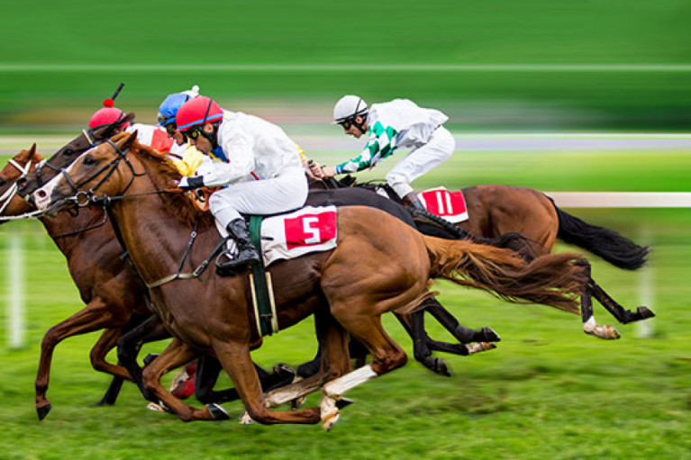 Recommended Supplements for Healthy Event Horses