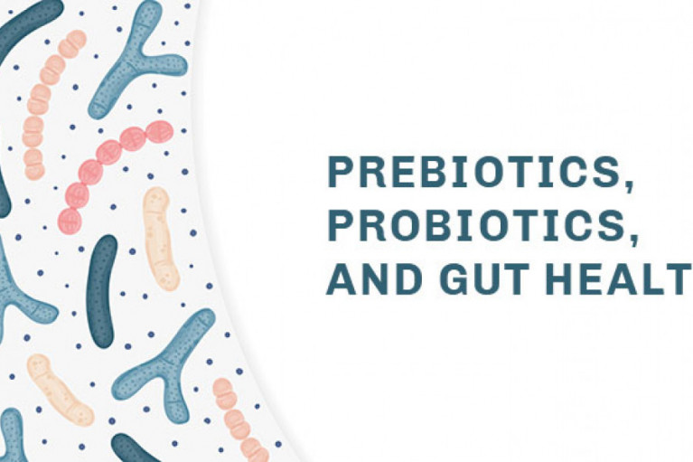 Probiotics, Prebiotics, and Gut Health