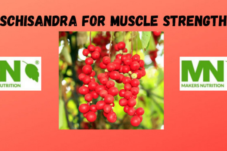 Schisandra for Muscle Strength
