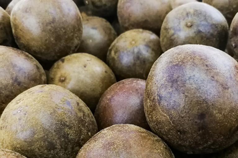 Monk Fruit Mania