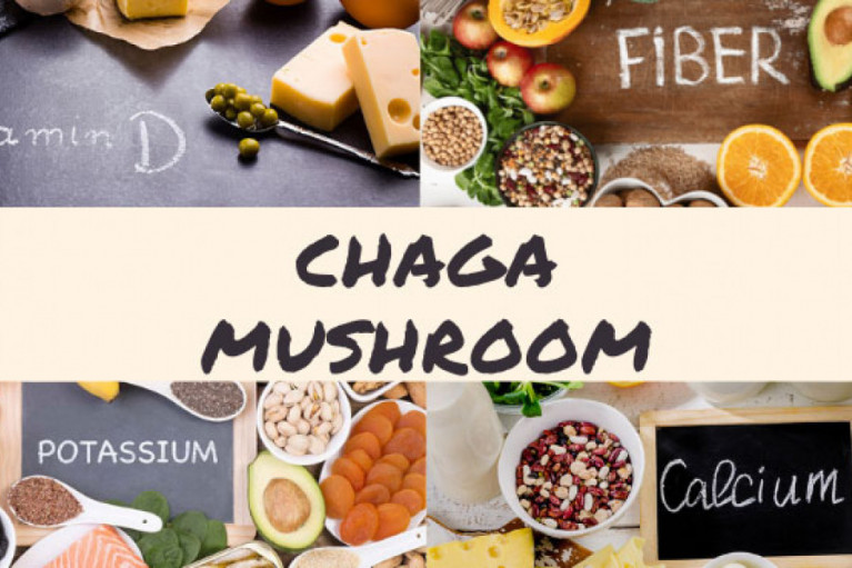 Chaga Mushroom Extract