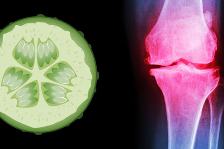 Cucumber Extract: The Next Nutraceutical Novelty?