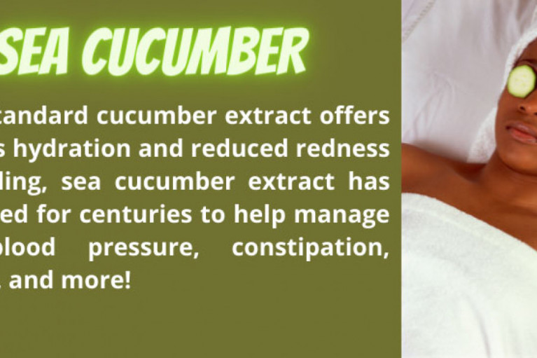 Sea Cucumber