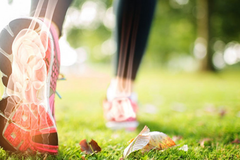 Under-The-Radar Dietary Supplement-Ingredients for Better Bone Health