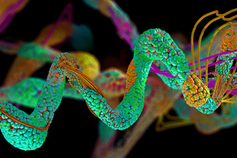 Manufacturing Amino Acids for Better Overall Health