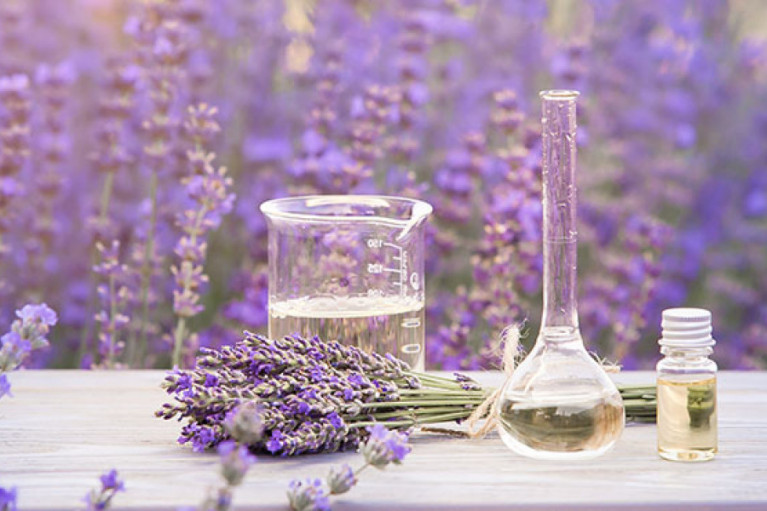 Manufacture Valerian and Lavender Supplements for Better Sleep