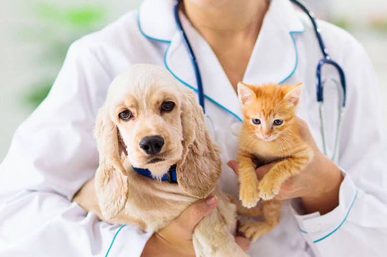 Quality Pet Supplement Manufacturer for Your Private Label Brand