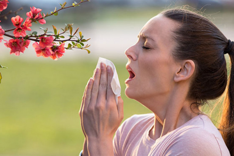Superior Supplements for Seasonal Allergies and Your Choice Supplement Manufacturer