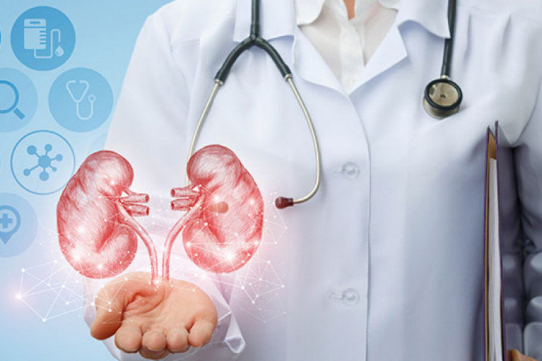 Herbal Supplements for Liver Health and Risks