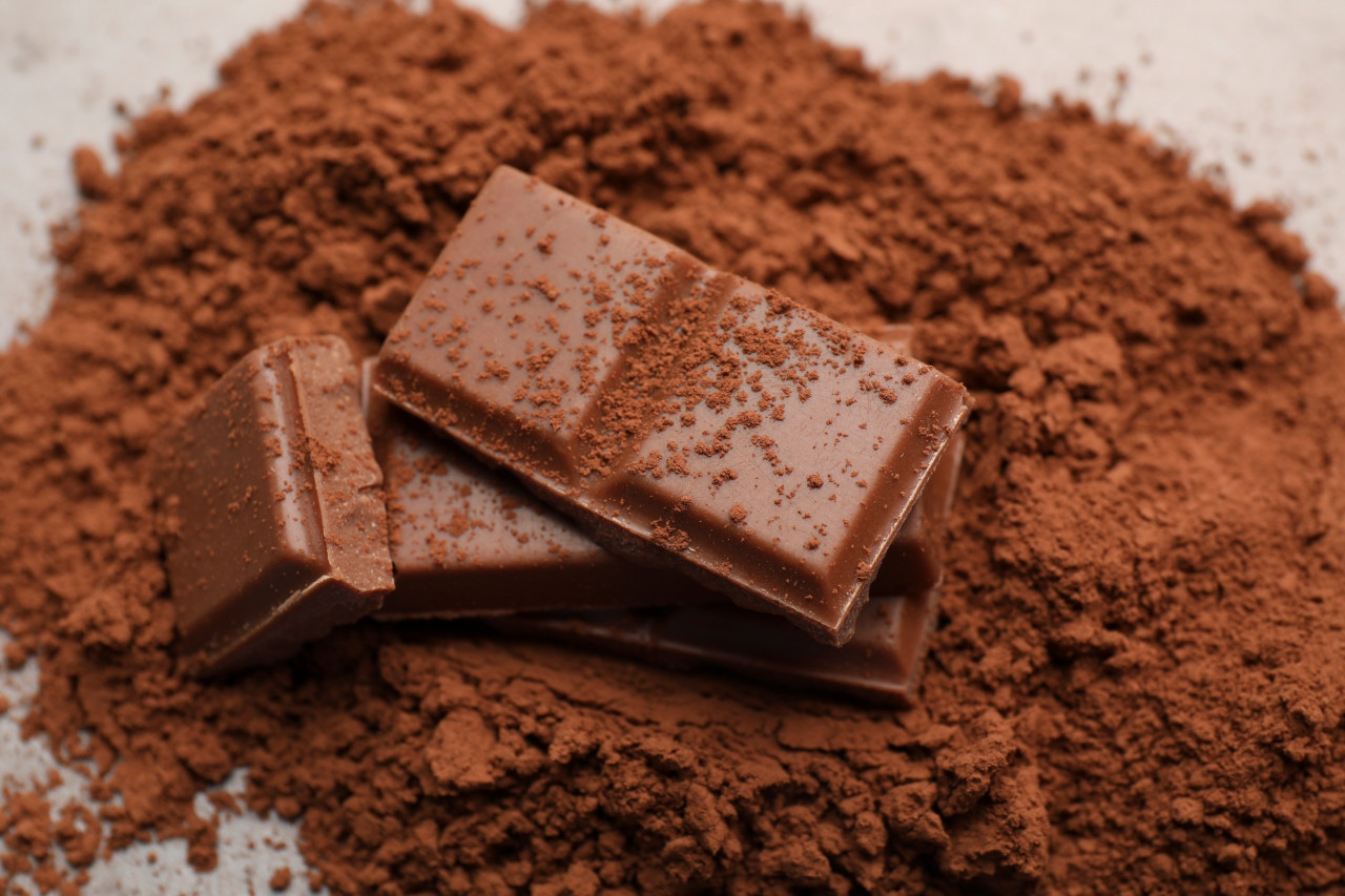 A Better-for-You Protein Powder: Makers Nutrition’s Stock Grass-Fed Chocolate Protein