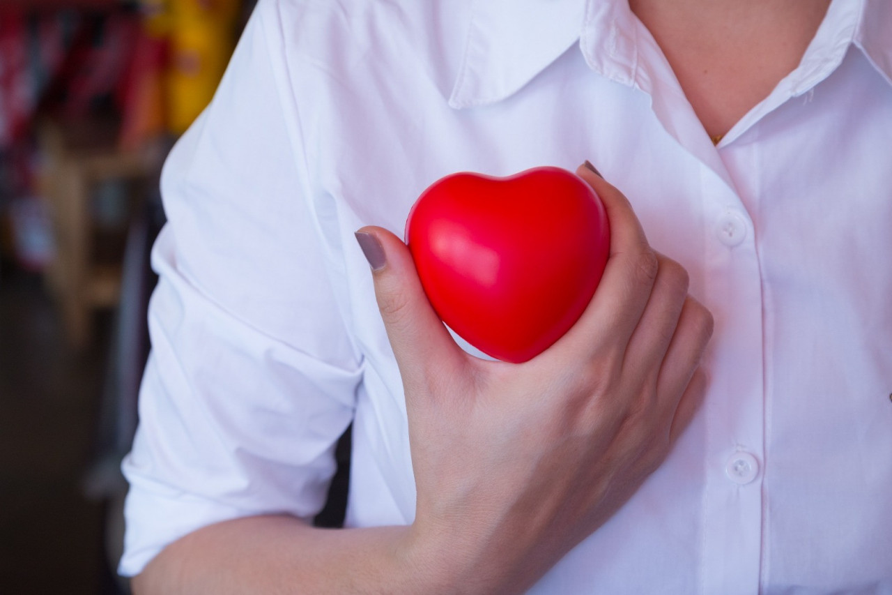 Advancements in Heart Healthy Supplements: A Guide for Nutraceutical Business Owners
