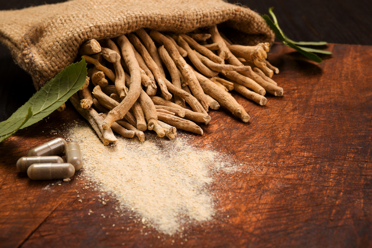 All About Ashwagandha and Stress