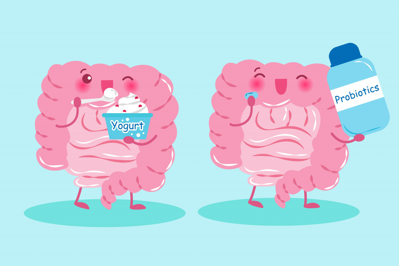 Back to Basics: Digestive Health Growth