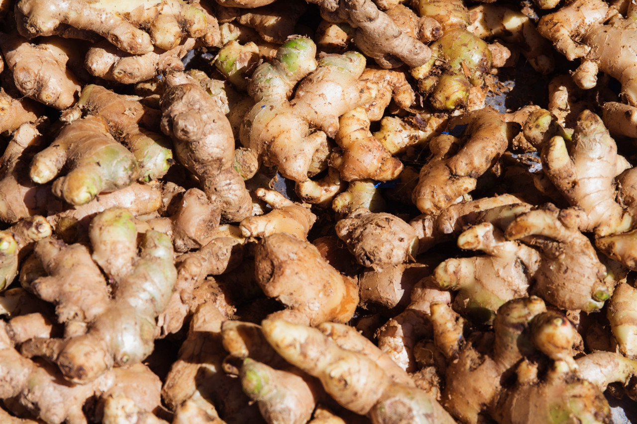 Black Ginger Supplements: The Secret to Energy, Endurance, and Vitality