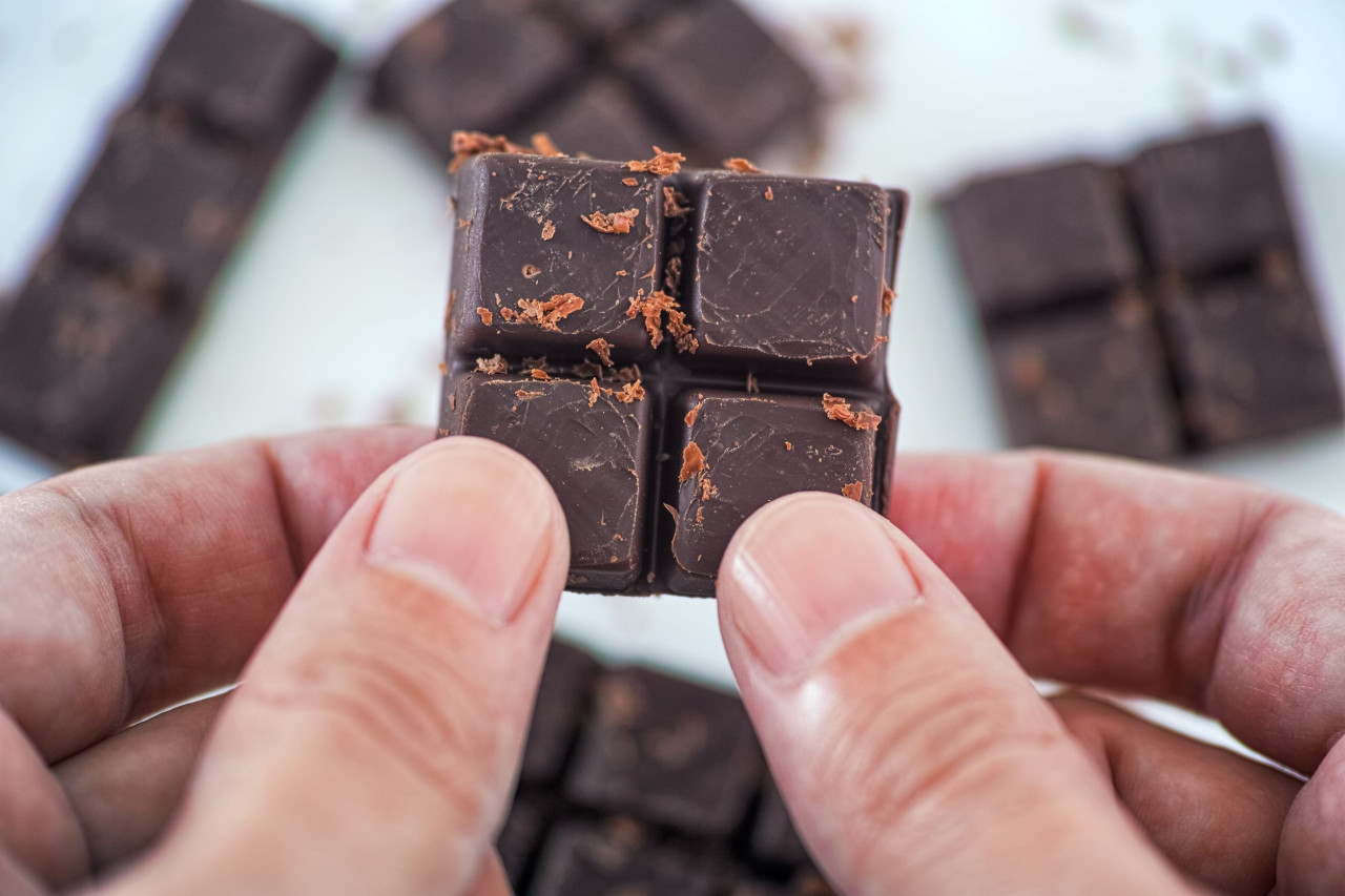 Chocolate Supplement Manufacturing: The Future of Functional Nutrition Has Arrived