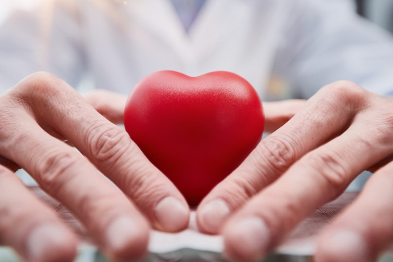 Top Vitamins for Cardiovascular Health