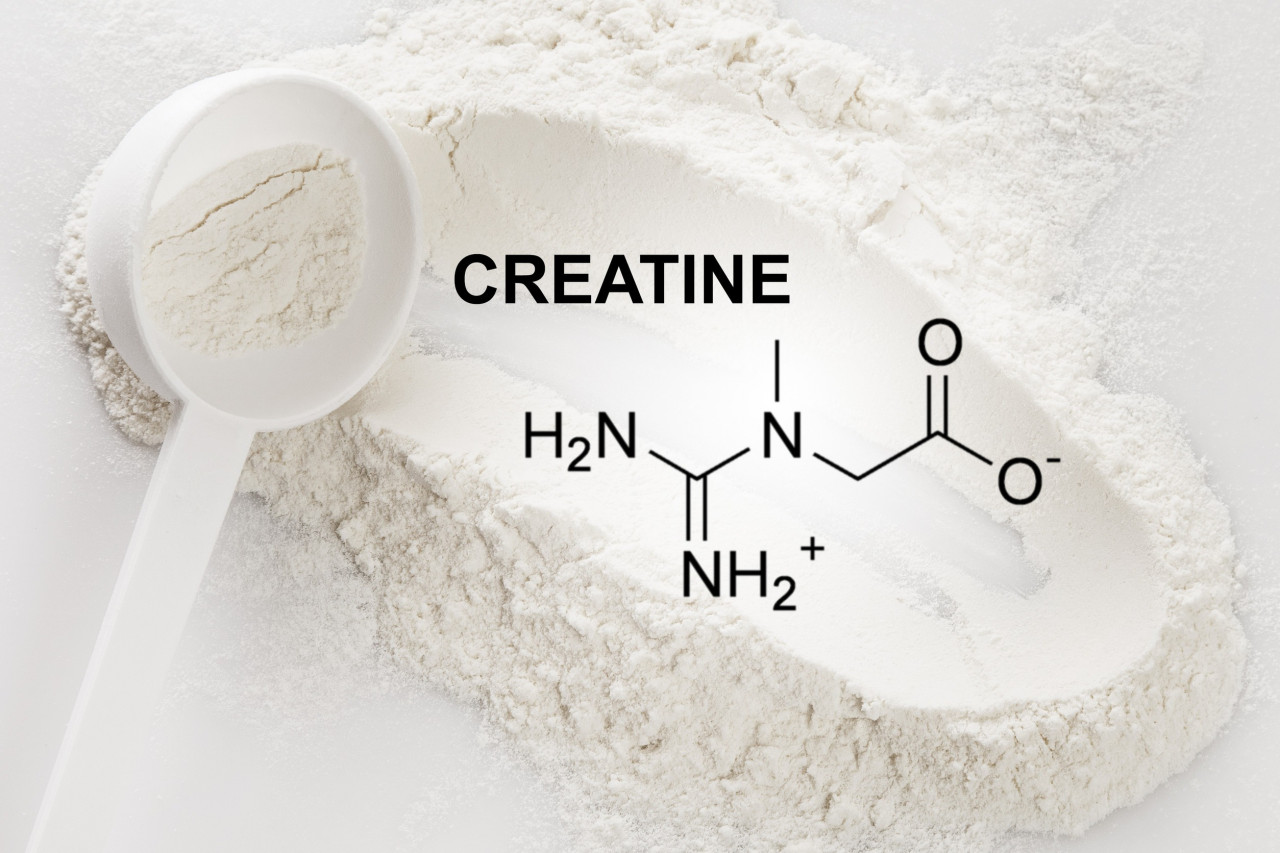 Creatine for the Brain: Fueling Cognitive Health, Mental Clarity, and Focus