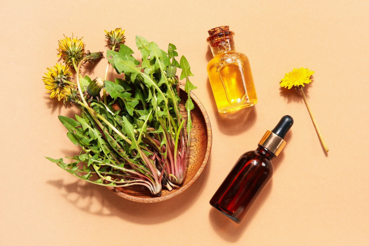 Custom Manufacturing Botanical Health and Wellness Products