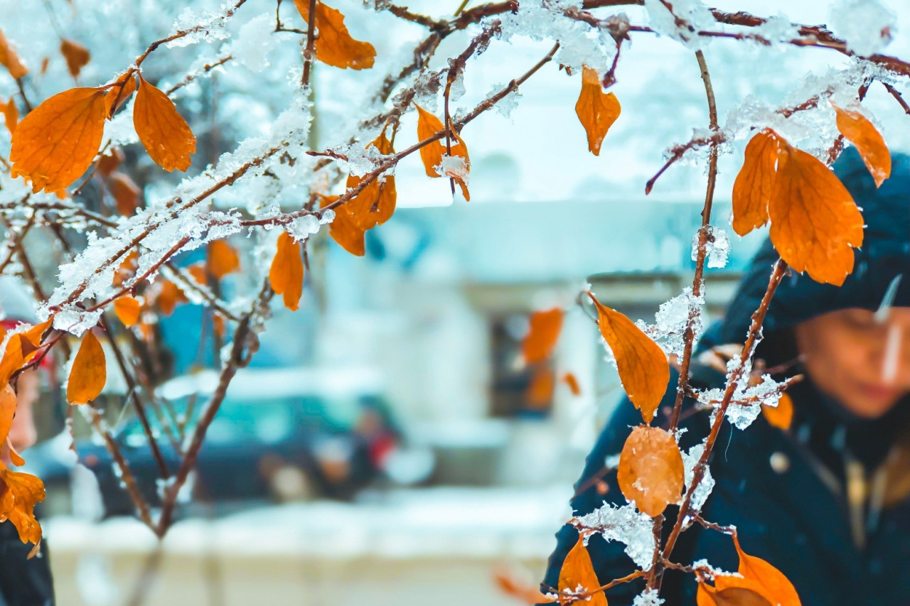 Custom Manufacturing Supplements that Support Customers with Seasonal Affective Disorder