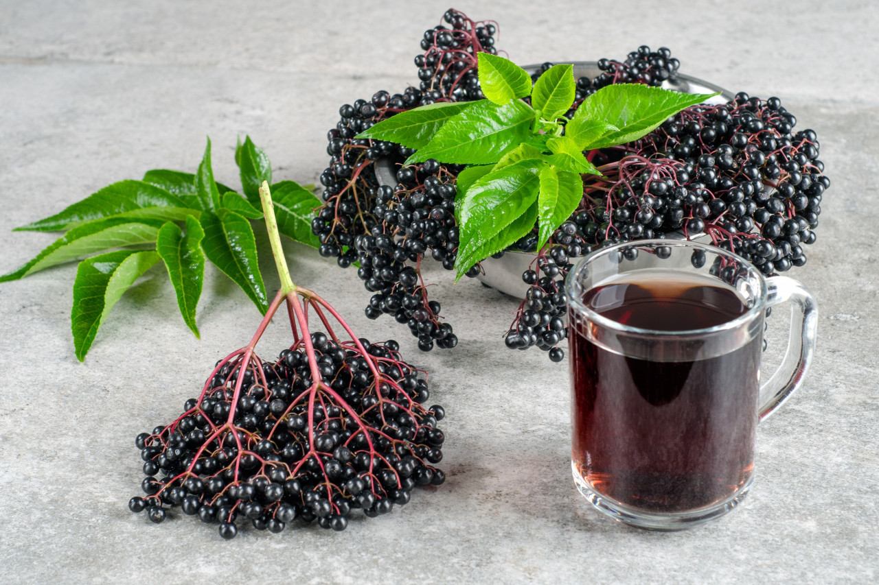 Elderberry Supplement Manufacturing for Cold and Flu and So Much More
