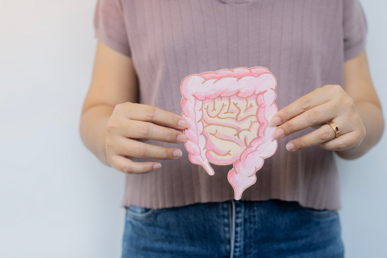 Exploring the Science and Market Potential of Postbiotics