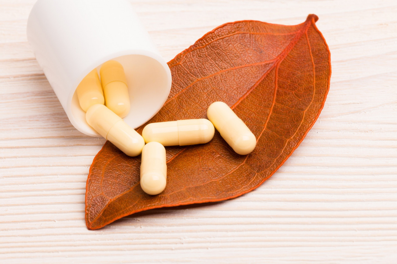 Fall Into Innovation: The Fresh Trends Shaping Supplement Manufacturing This Season
