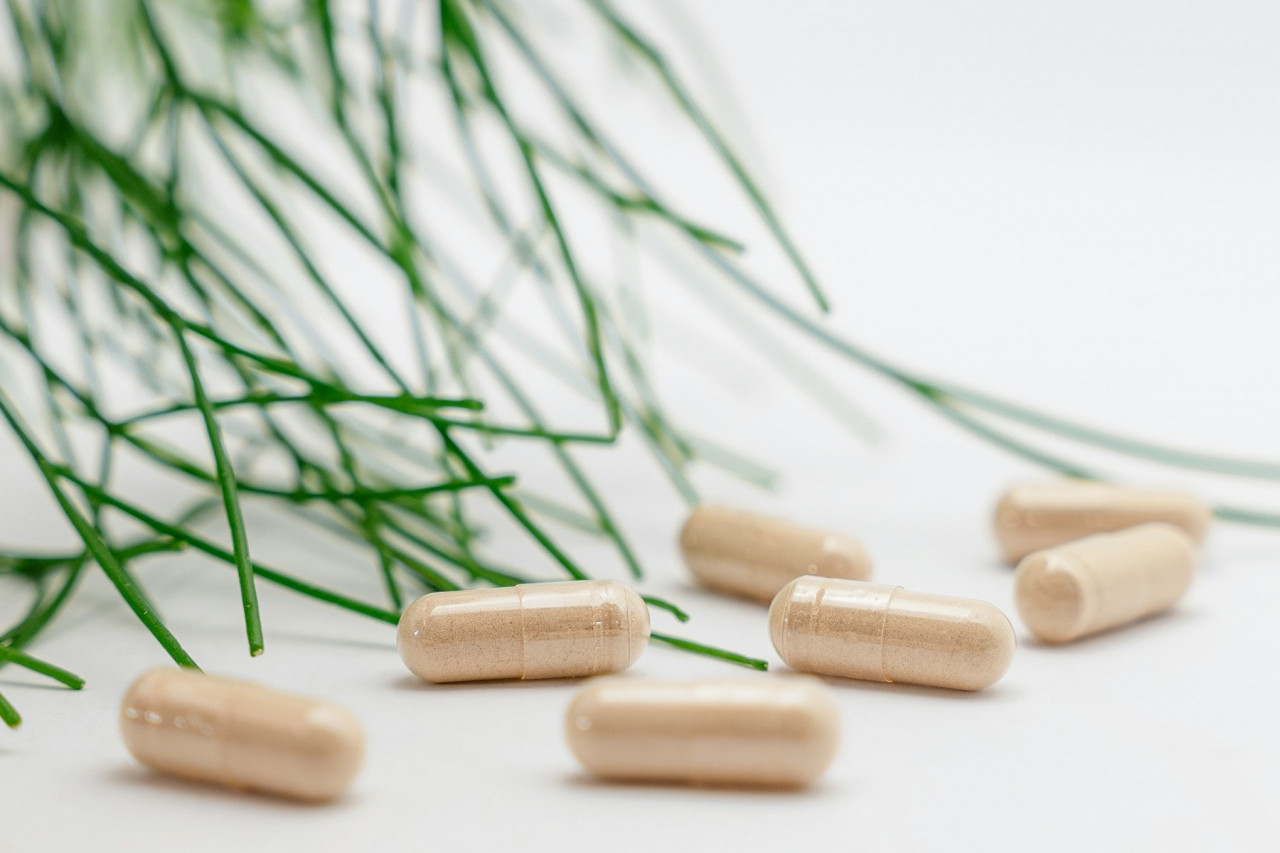 Fresh Frontiers: The Next Big Thing in Supplement Manufacturing