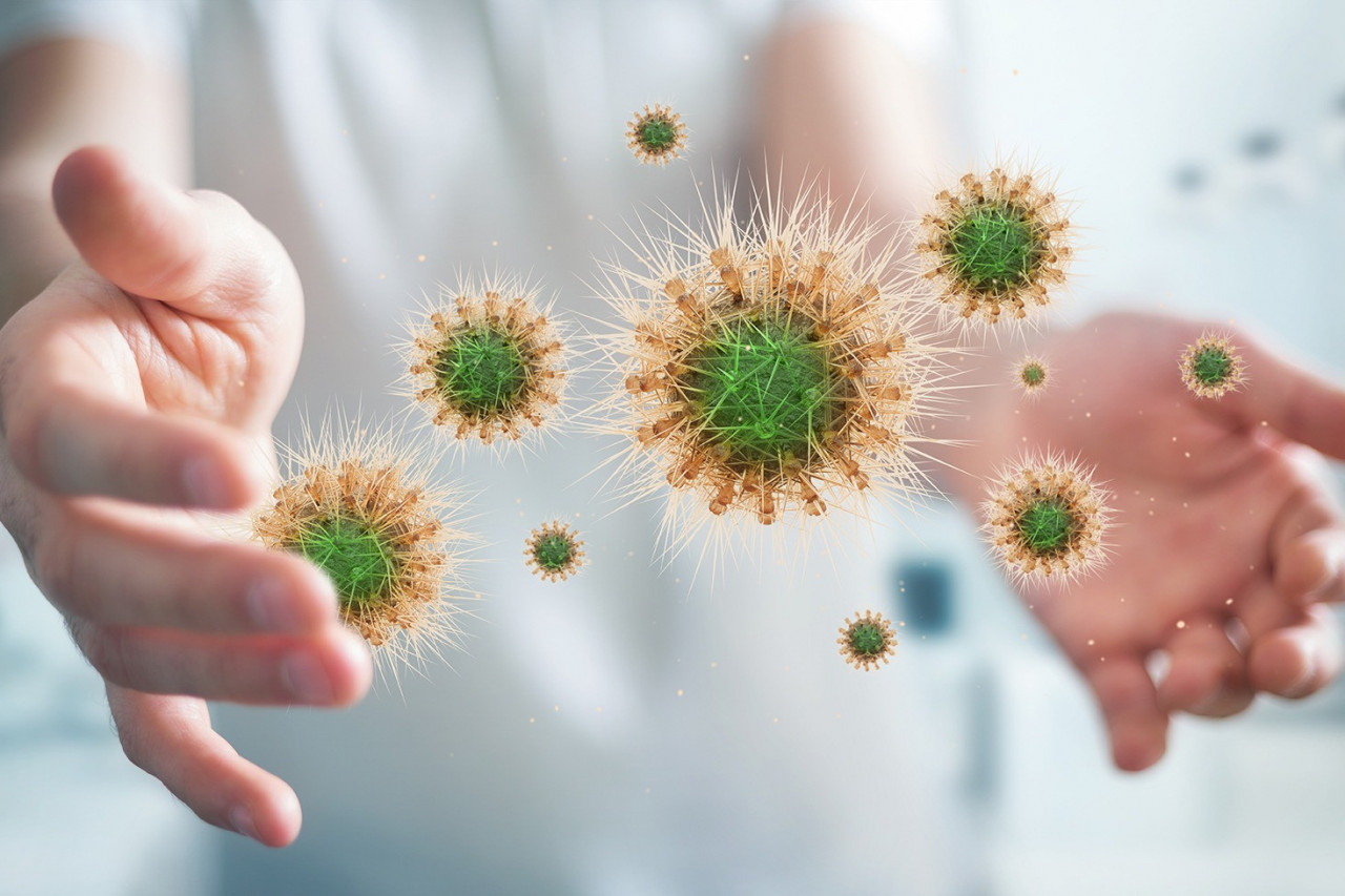 Immune Supplements Still Going Strong: Keeping Up Momentum in the Nutraceutical Market