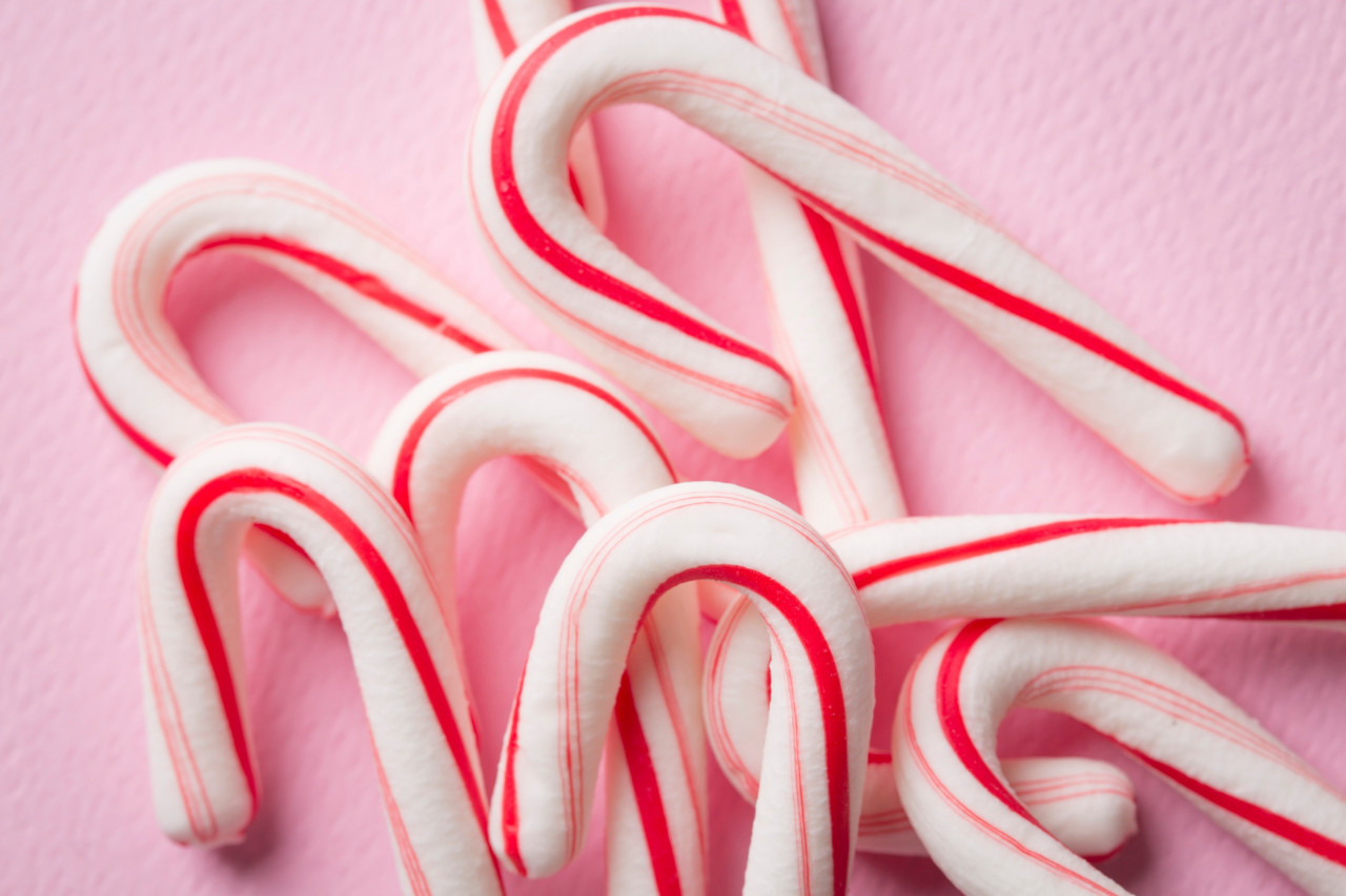 Limited-Edition Holiday Supplements: Candy Cane Flavors, Cinnamon Cheer, and Seasonal Success