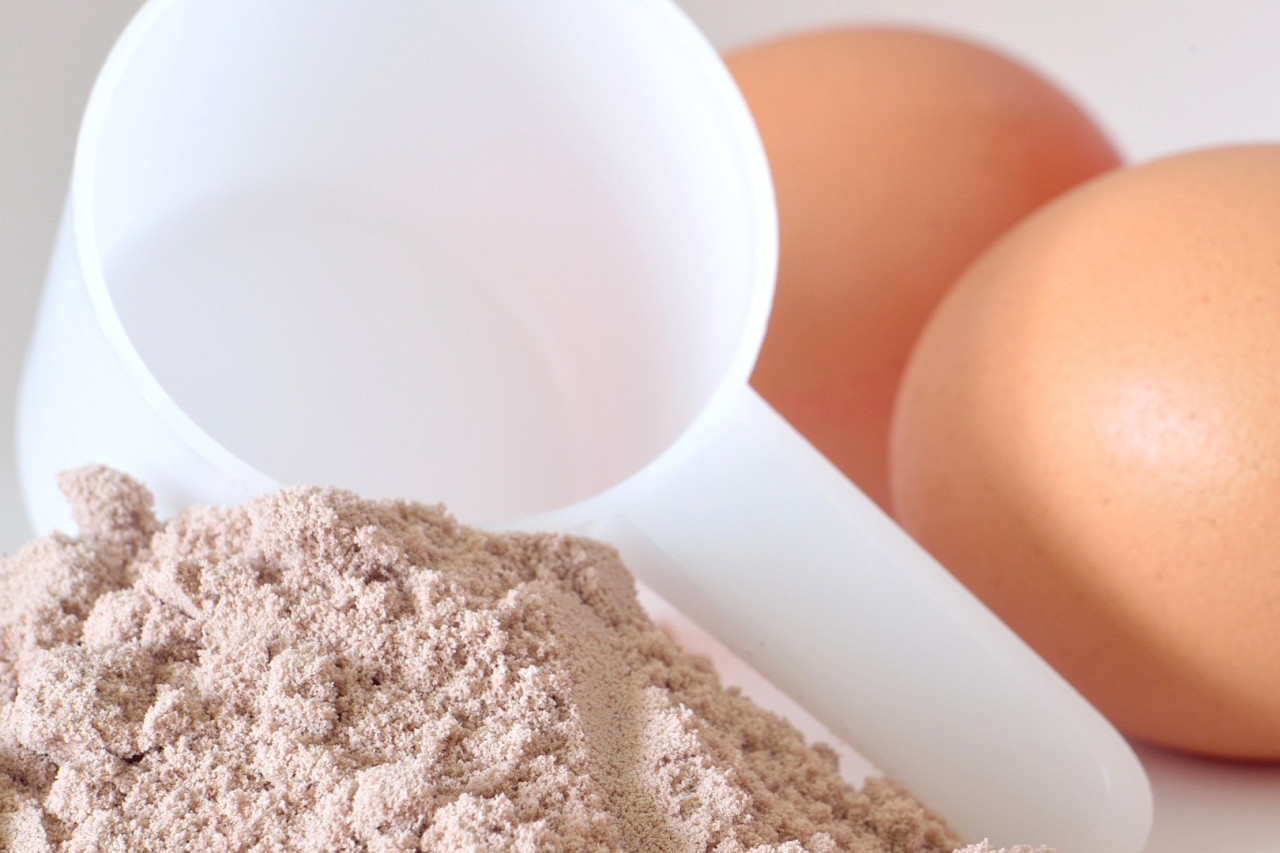 Makers Nutrition: Your Ultimate Resource for Private Label and Custom Manufacturing Egg White Protein Powder