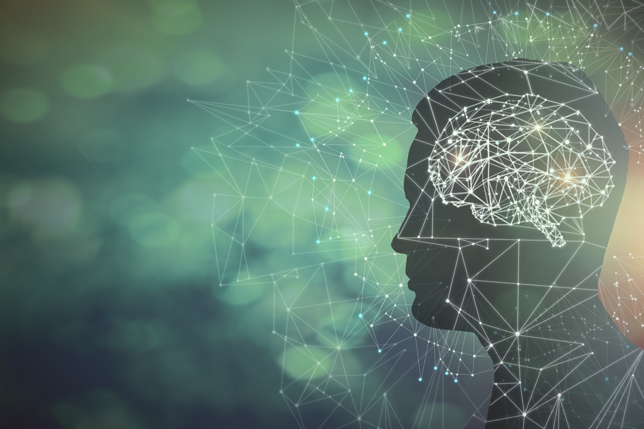 Manufacturing a Way to Improved Memory:  Garden Sage, Spanish Sage Leaf Extract, and Better Cognitive Function