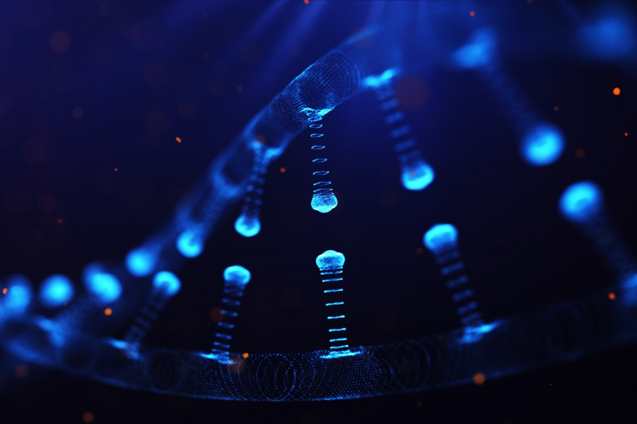 Manufacturing Vitamin B12 for Cellular Regeneration