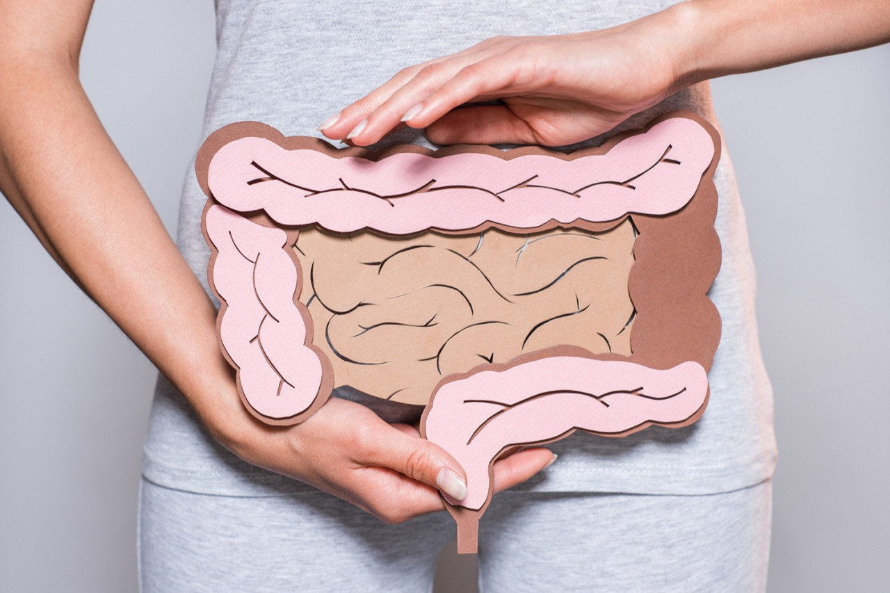 Navigating the Dynamic Landscape of Digestive Health Supplements: Trends and Strategies for Success