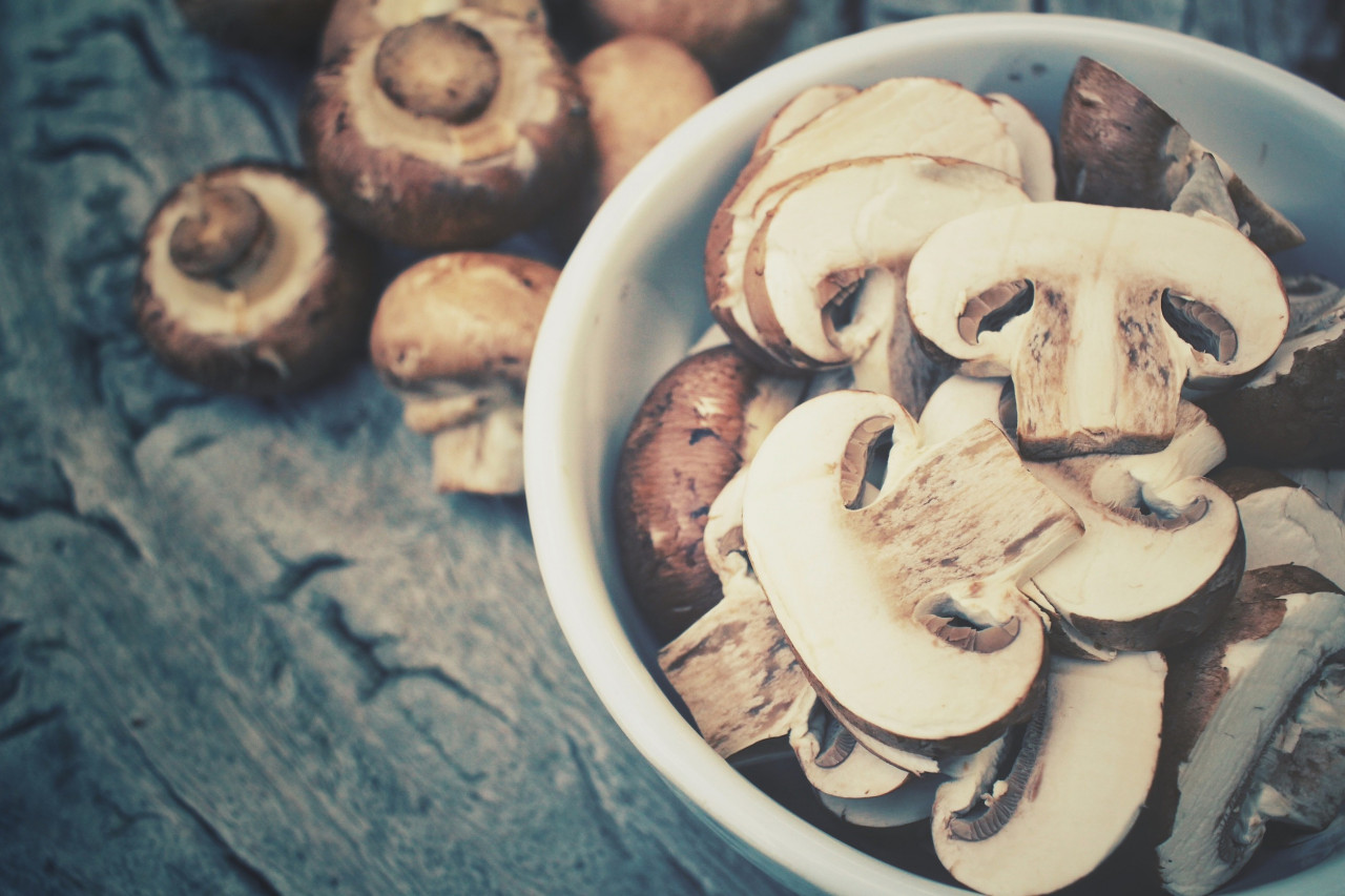 Popular Mushroom Ingredients to Include in Your Next Powder Supplement