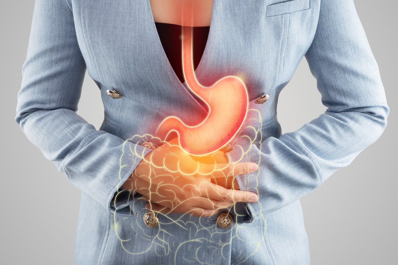 Prebiotics, Probiotics, and Postbiotics: The Three Keys to Gut Health