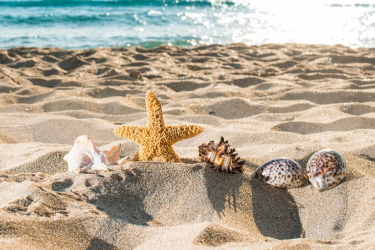 Summertime Supplements: Vitamins and Minerals Your Customers Need as the Heat Approaches
