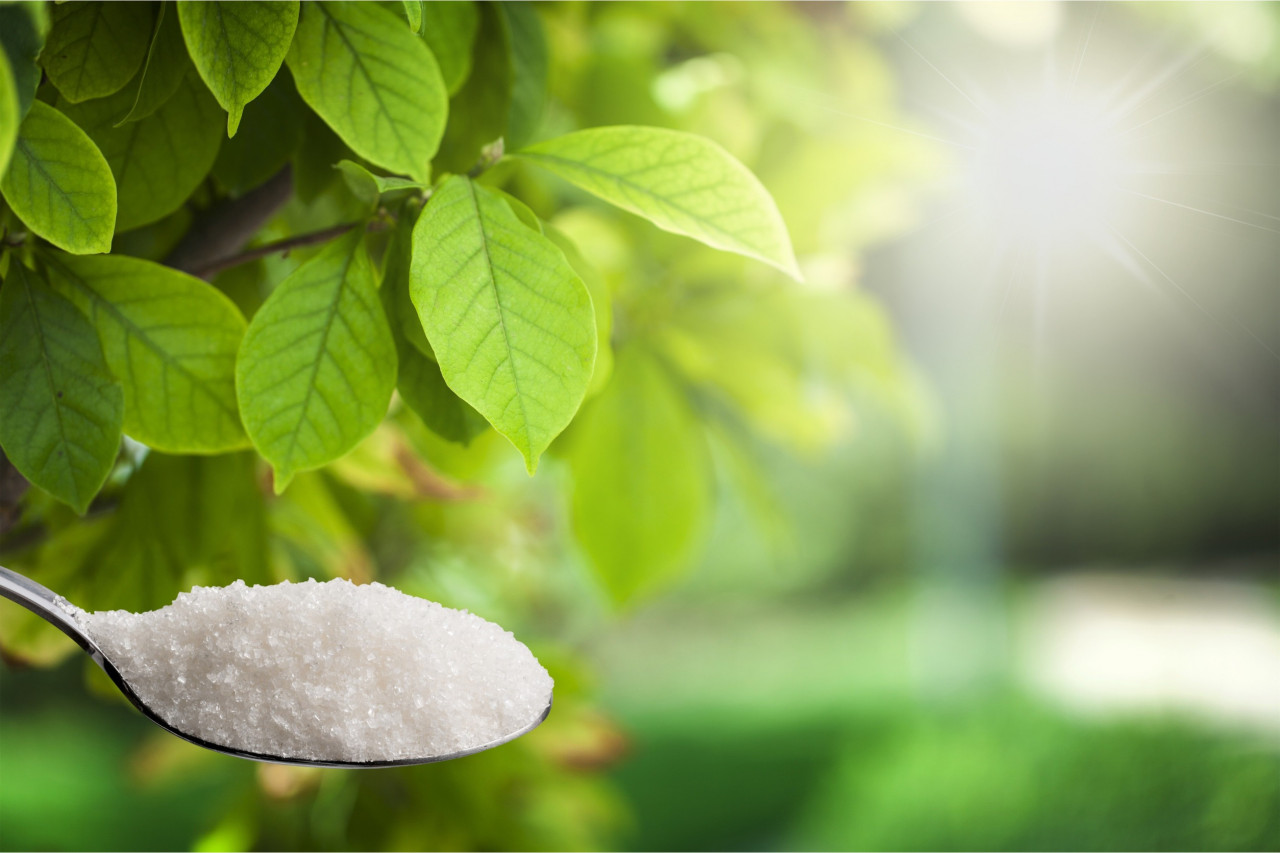 Sweet Balance: Why Allulose Is the Natural Sweetener Supplement Brands Should Watch