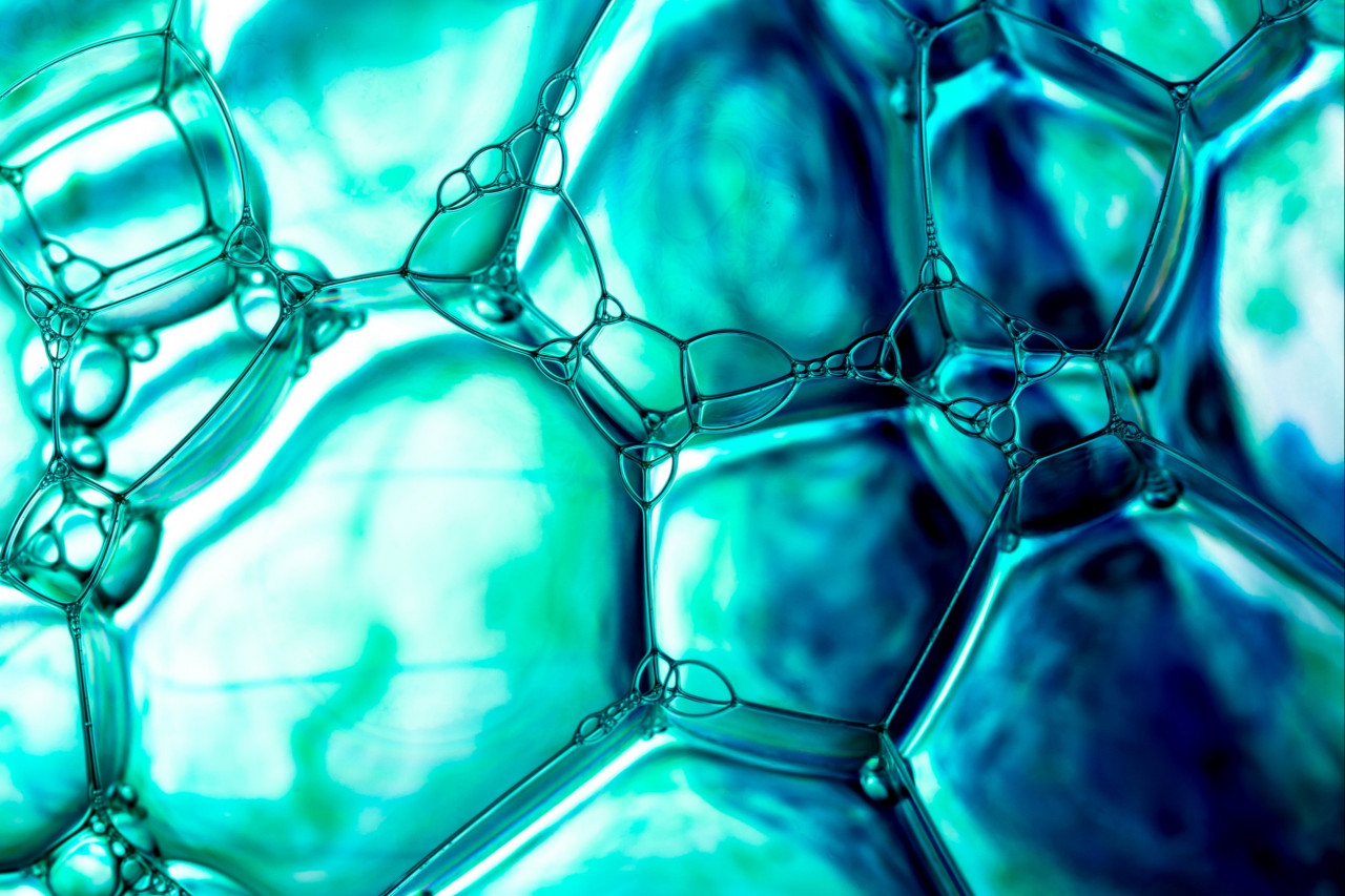 The Booming Market of Prebiotics, Probiotics, and Enzymes: A Perfect Synergy