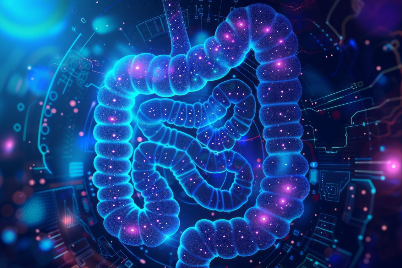 The Brain-Gut Connection: Crafting Supplements with Makers Nutrition for Optimal Health