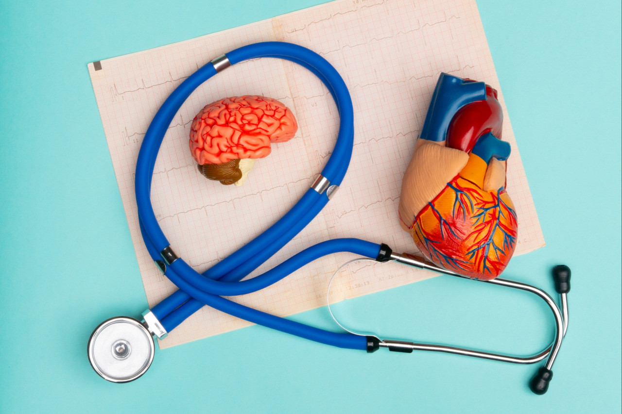 The Connection Between Blood Sugar, Brain Health, and Heart Health: How Supplements Can Help