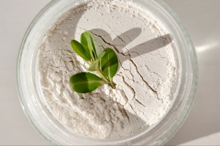 The Future of Plant Protein Supplements