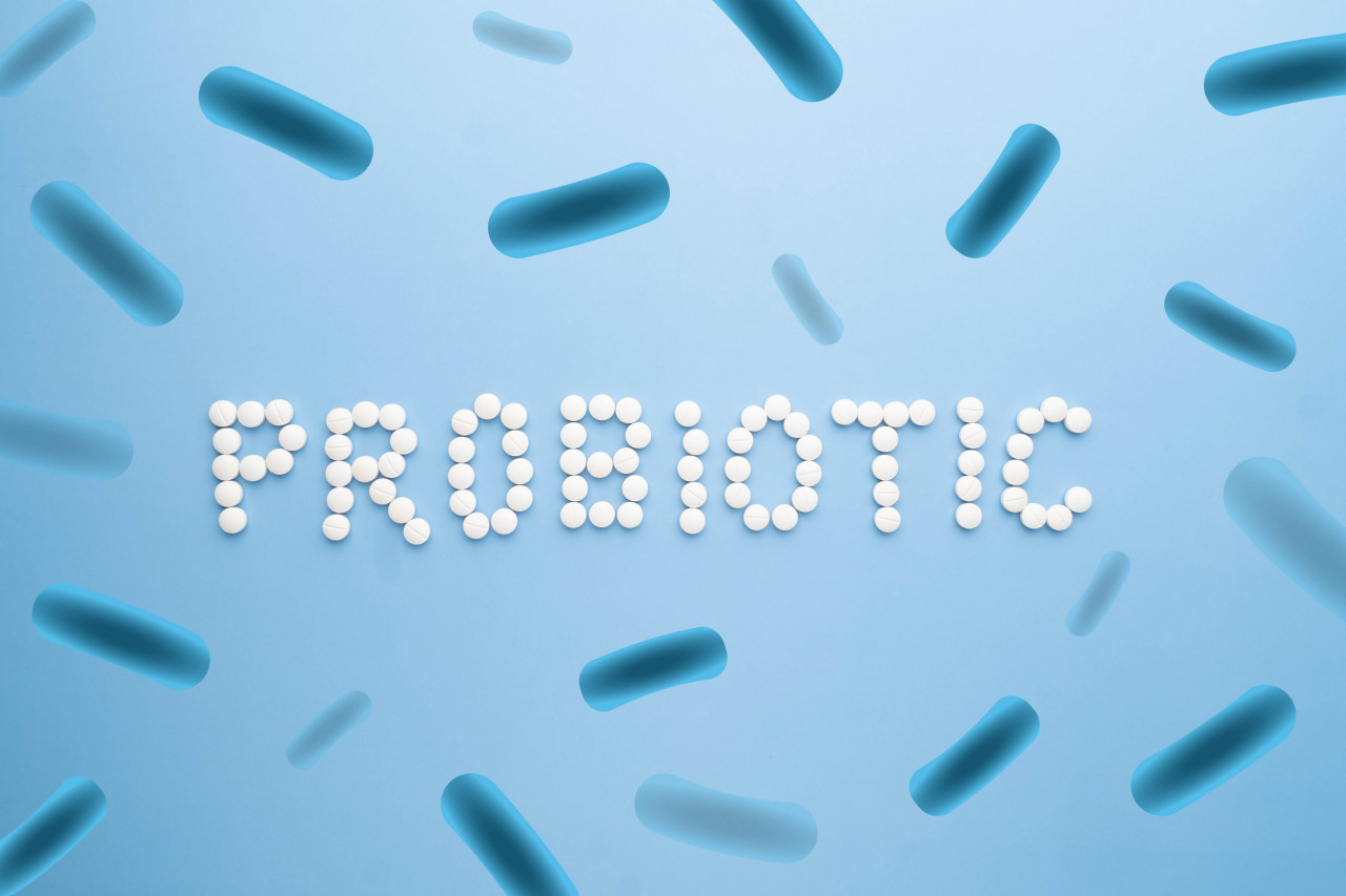 The Intricacies of Probiotic Supplement Manufacturing