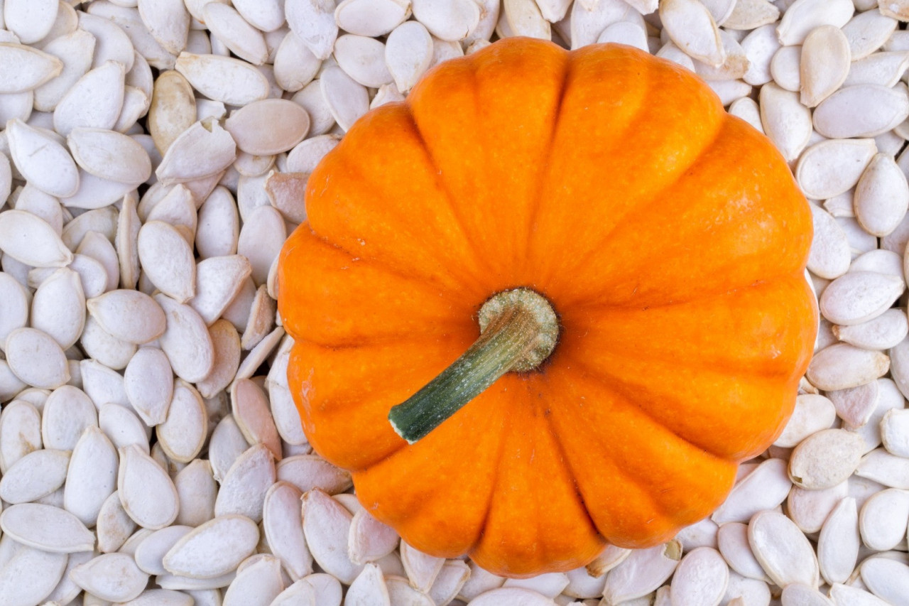 The Power of Manufacturing Pumpkin Seed Extract Supplements
